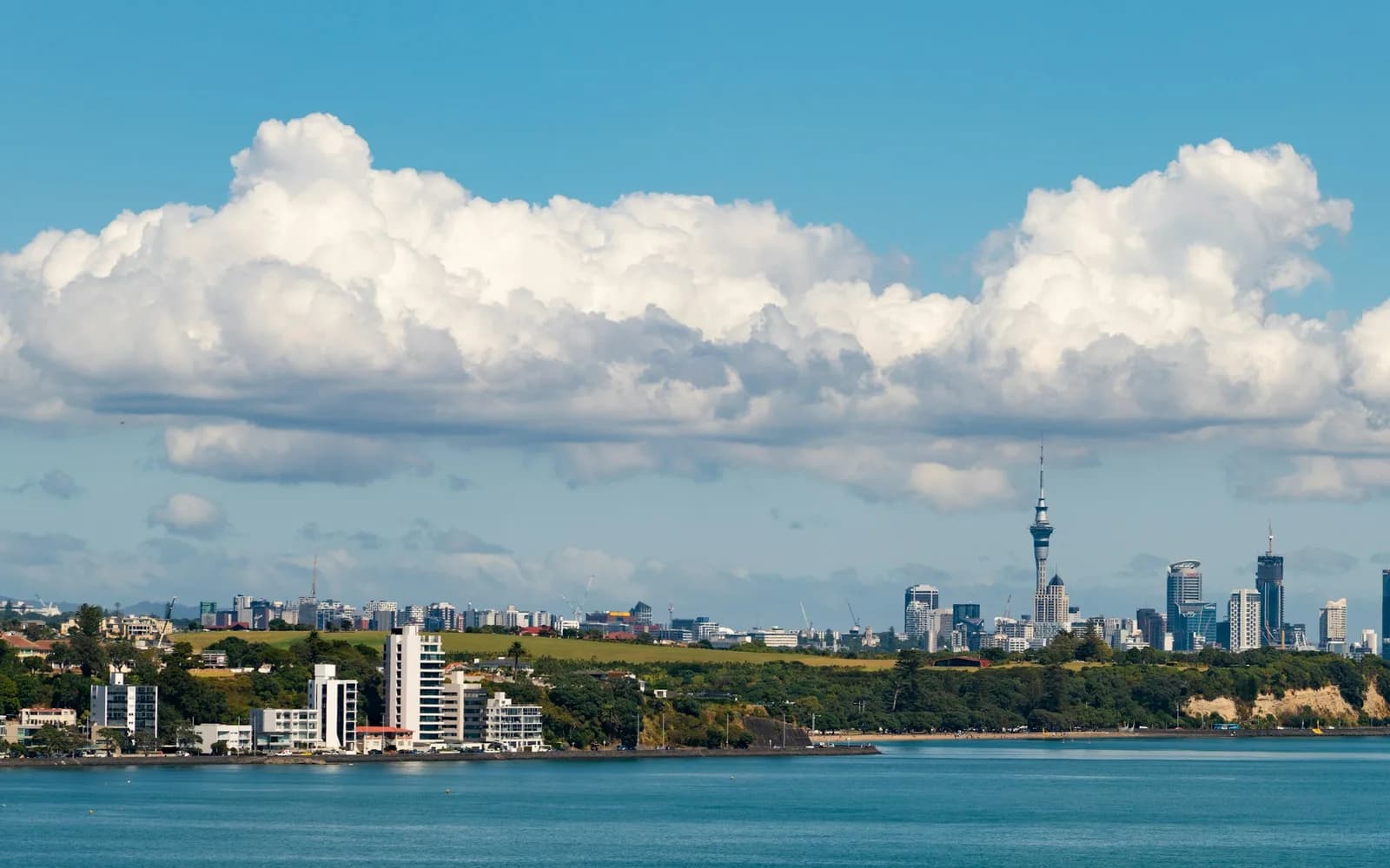 The Auckland skyline in clear daytime light